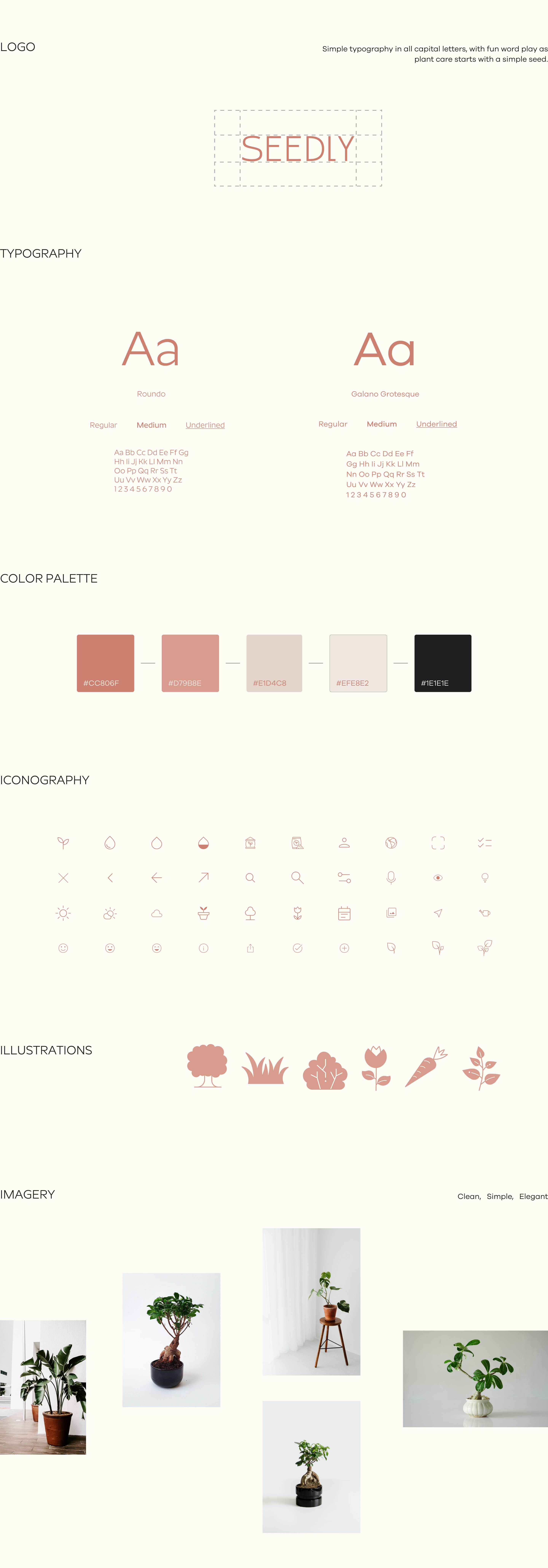 Seedly: Branding and Design