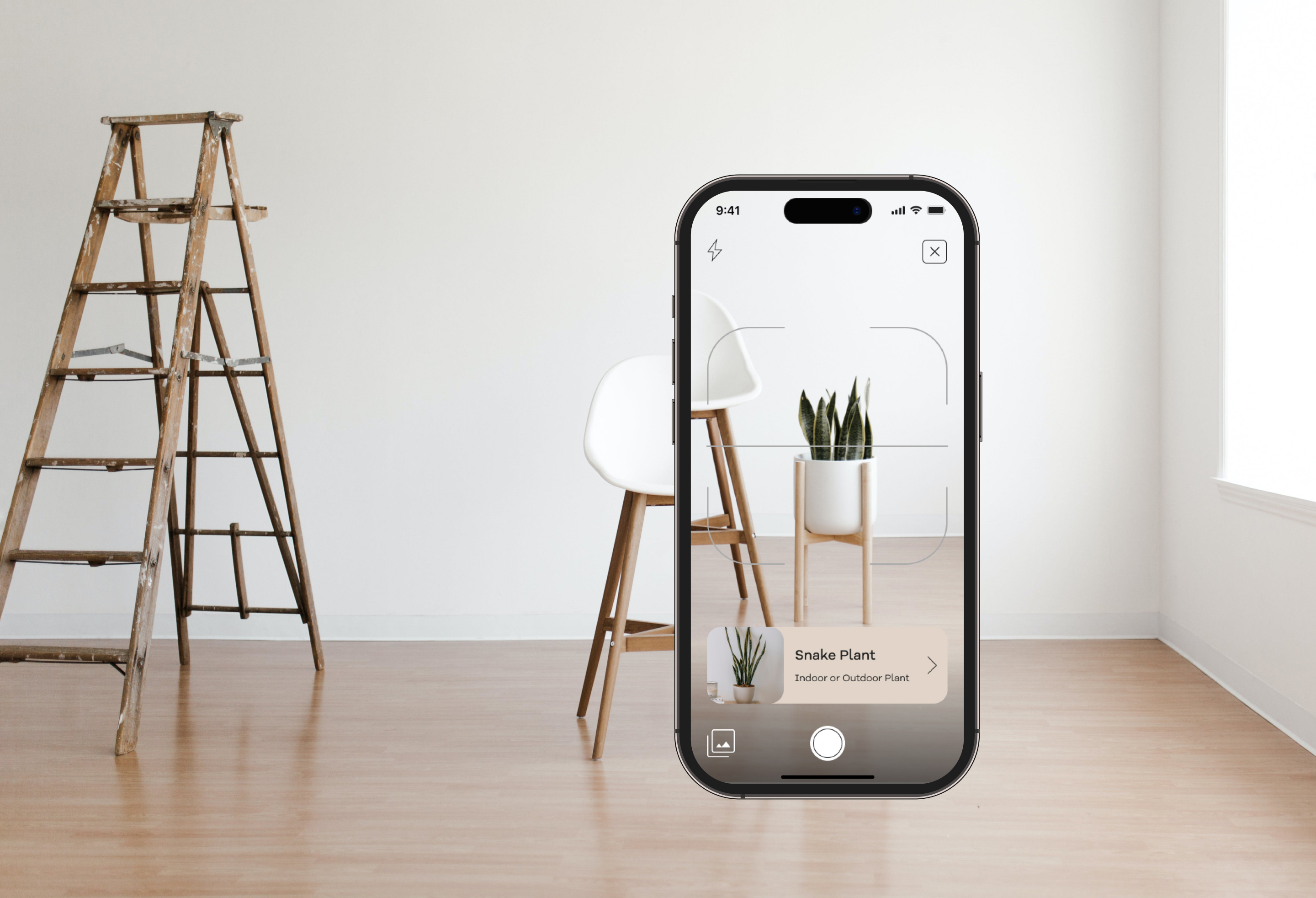Seedly App Mockup